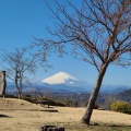 実際訪問したユーザーが直接撮影して投稿した万田公園高麗山公園の写真