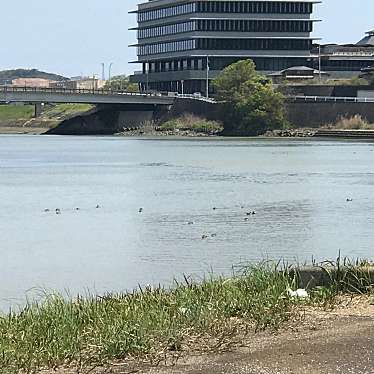 単身赴任おじさんさんが投稿した河川のお店桑野川の写真