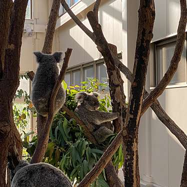 実際訪問したユーザーが直接撮影して投稿した平川町動物園平川動物公園の写真