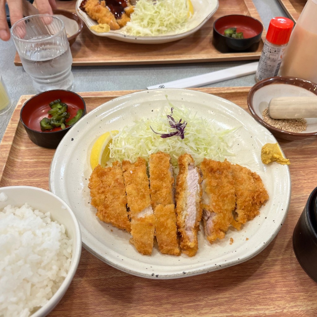 ユーザーが投稿したロースかつ定食の写真 - 実際訪問したユーザーが直接撮影して投稿した富岡和菓子とんかつDE米乃屋 上越店の写真