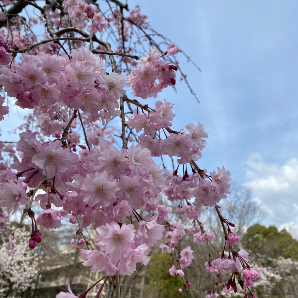 実際訪問したユーザーが直接撮影して投稿した太平町公園太平公園の写真