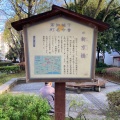 実際訪問したユーザーが直接撮影して投稿した帯屋町公園中央公園の写真