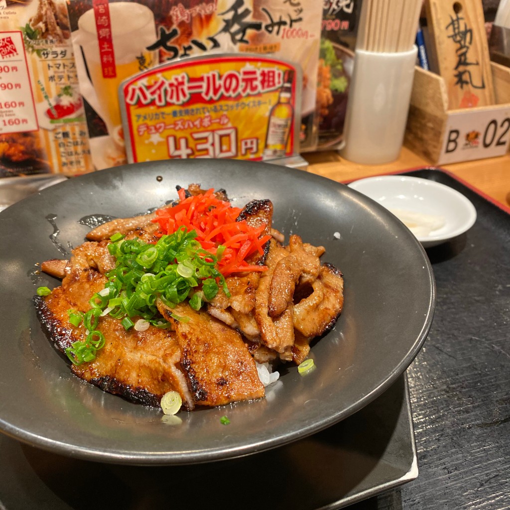 えす1964さんが投稿した錦町焼鳥のお店恵屋プラスピザ 宮崎駅店/メグミヤプラスピザの写真