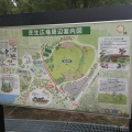 実際訪問したユーザーが直接撮影して投稿した楠本公園兵庫県立淡路島公園の写真