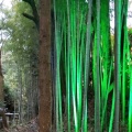 実際訪問したユーザーが直接撮影して投稿した村松寺油山寺の写真