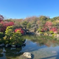 実際訪問したユーザーが直接撮影して投稿した千里万博公園庭園日本庭園の写真