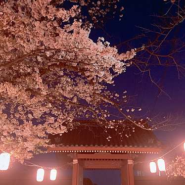 実際訪問したユーザーが直接撮影して投稿した金沢町寺金沢山 称名寺の写真