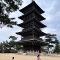 実際訪問したユーザーが直接撮影して投稿した善通寺町寺善通寺の写真