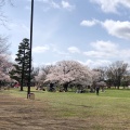 実際訪問したユーザーが直接撮影して投稿した八幡町公園武蔵野中央公園の写真