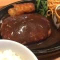 濃厚デミグラスハンバーグ定食 - 実際訪問したユーザーが直接撮影して投稿した大野田和食 / 日本料理菜々家 仙台大野田店の写真のメニュー情報