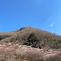 実際訪問したユーザーが直接撮影して投稿した山 / 峠幕山の写真