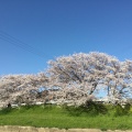 実際訪問したユーザーが直接撮影して投稿した稲葉車瀬河川竜田川の写真