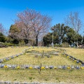 実際訪問したユーザーが直接撮影して投稿した百舌鳥夕雲町公園大仙公園の写真