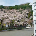 実際訪問したユーザーが直接撮影して投稿した新堀神社高麗神社の写真