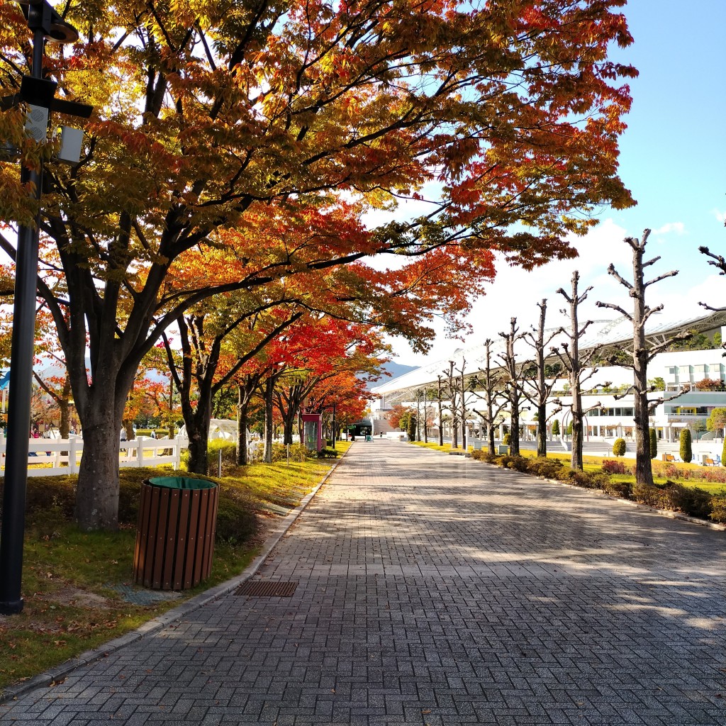 実際訪問したユーザーが直接撮影して投稿した駒の町ギフトショップ / おみやげTURFY SHOP 阪神競馬場店の写真