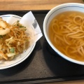 かき揚うどん - 実際訪問したユーザーが直接撮影して投稿した天神うどんウエスト 天神北店の写真のメニュー情報