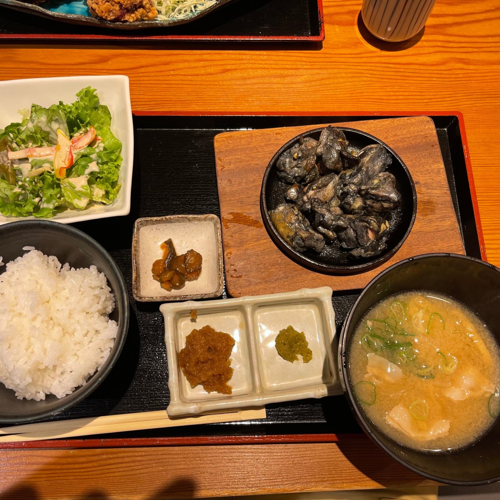 ユーザーが投稿した霧島鶏鉄板焼き定食の写真 - 実際訪問したユーザーが直接撮影して投稿した東塩小路町居酒屋宮崎酒場ゑびす 京都ポルタ店の写真