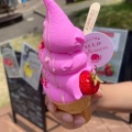 実際訪問したユーザーが直接撮影して投稿した国上アイスクリームオフる日カフェの写真
