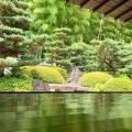実際訪問したユーザーが直接撮影して投稿した和泉町庭園丈山苑の写真