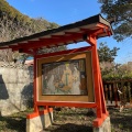 実際訪問したユーザーが直接撮影して投稿した香椎神社香椎宮の写真