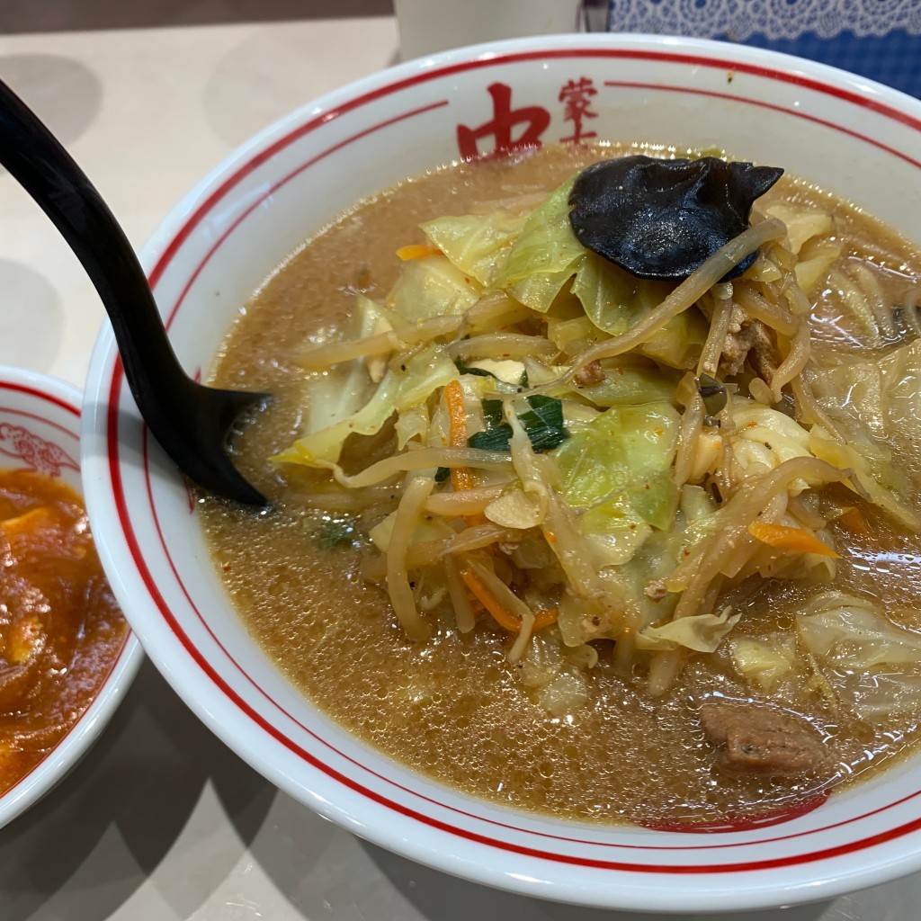 うありおさんが投稿した平松本町ラーメン専門店のお店蒙古タンメン中本 宇都宮店の写真