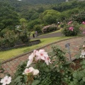 実際訪問したユーザーが直接撮影して投稿した平川町公園錦江湾公園の写真