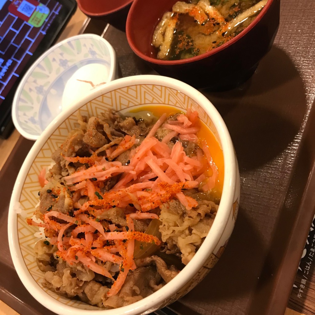 ユーザーが投稿した牛丼並の写真 - 実際訪問したユーザーが直接撮影して投稿した南川崎牛丼すき家 八潮南川崎店の写真