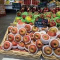 実際訪問したユーザーが直接撮影して投稿した東田スイーツFruit factory Mooon THE OUTLETS KITAKYUSHU店の写真