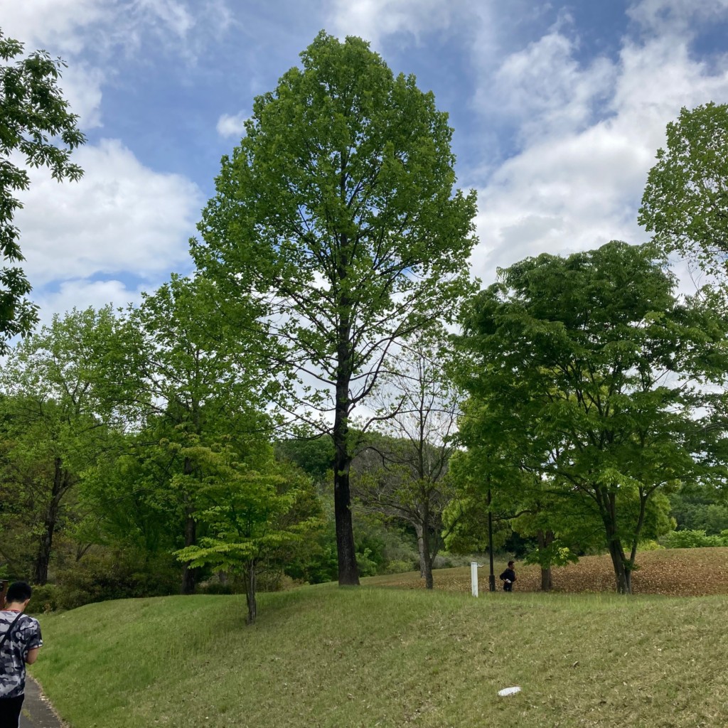 実際訪問したユーザーが直接撮影して投稿した羽崎公園トイファクトリーの丘の写真