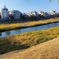 実際訪問したユーザーが直接撮影して投稿した河川鴨川の写真