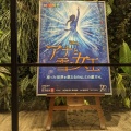 実際訪問したユーザーが直接撮影して投稿した海岸公演 / 演劇・演芸JR東日本四季劇場[春]の写真