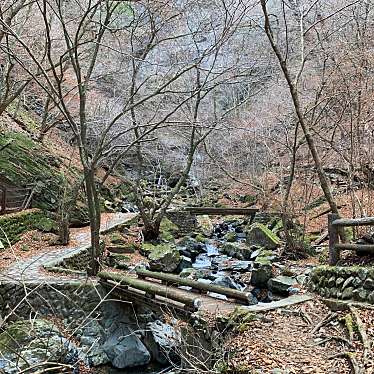 実際訪問したユーザーが直接撮影して投稿した自然名所竜化の滝(観瀑台)の写真