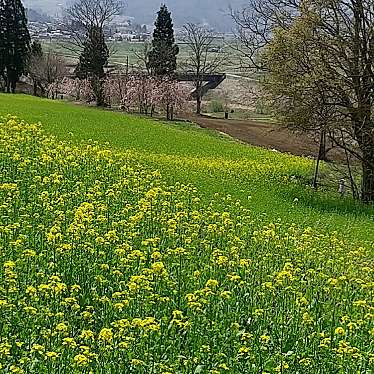 菜の花公園のundefinedに実際訪問訪問したユーザーunknownさんが新しく投稿した新着口コミの写真