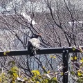 実際訪問したユーザーが直接撮影して投稿した和田山公園本牧山頂公園の写真