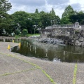 実際訪問したユーザーが直接撮影して投稿した相模大野公園相模大野中央公園の写真