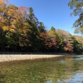 実際訪問したユーザーが直接撮影して投稿した宇治館町神社伊勢神宮の写真