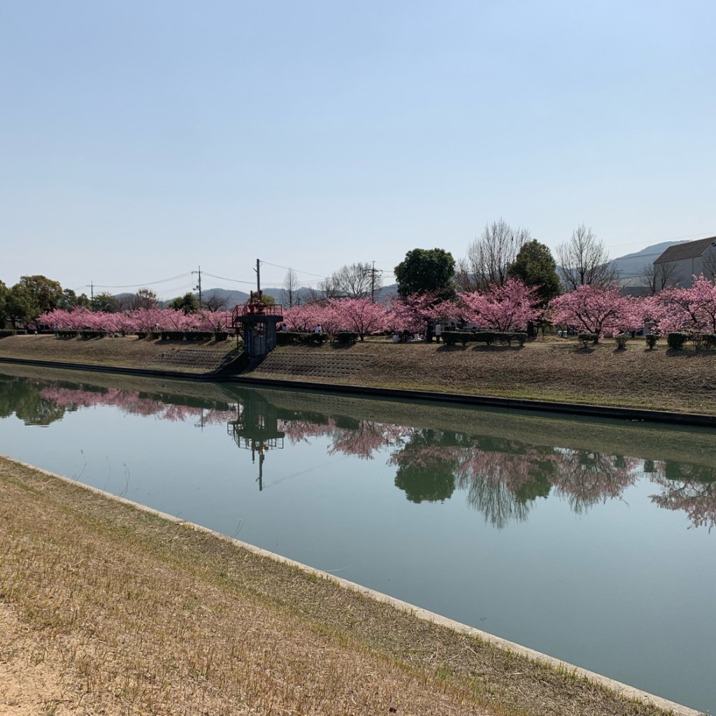 実際訪問したユーザーが直接撮影して投稿した河川倉敷川の写真