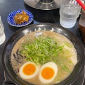 実際訪問したユーザーが直接撮影して投稿した室見ラーメン / つけ麺麺屋はし本の写真