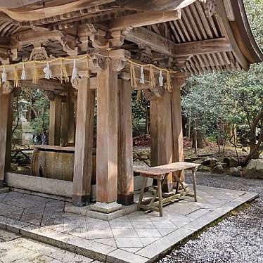 実際訪問したユーザーが直接撮影して投稿した弥彦神社彌彦神社の写真