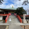 実際訪問したユーザーが直接撮影して投稿した奥沢地域名所浄真寺 開山堂の写真