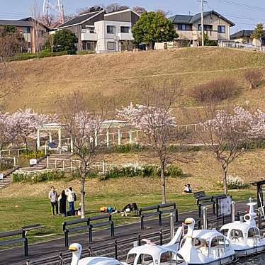 実際訪問したユーザーが直接撮影して投稿した陽だまりの丘公園エイベックス播磨中央公園の写真