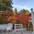 実際訪問したユーザーが直接撮影して投稿した池田町白地寺雲辺寺の写真