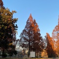 実際訪問したユーザーが直接撮影して投稿した東千田町公園東千田公園の写真