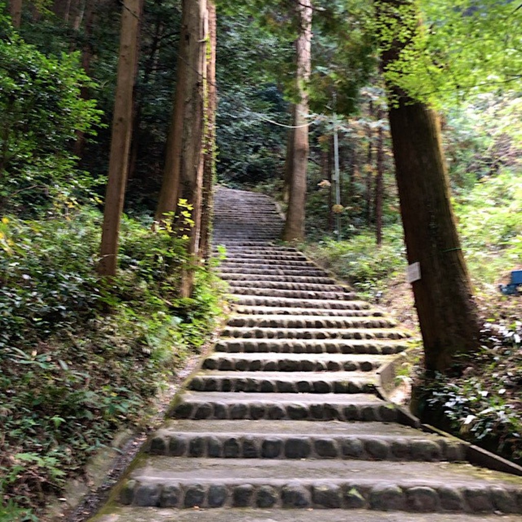 Hiro-Sakuさんが投稿した上土方嶺向城 / 城跡のお店高天神城跡/タカテンジンジョウアトの写真