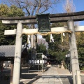 実際訪問したユーザーが直接撮影して投稿した宇治神社縣神社の写真