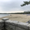 実際訪問したユーザーが直接撮影して投稿した海の公園公園海の公園の写真