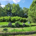 実際訪問したユーザーが直接撮影して投稿した八雲北町公園下島公園の写真