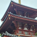 実際訪問したユーザーが直接撮影して投稿した中央寺宝仙寺三重塔の写真