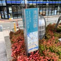 実際訪問したユーザーが直接撮影して投稿した中洲公園清流公園の写真