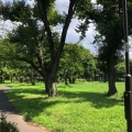 実際訪問したユーザーが直接撮影して投稿した矢崎町公園府中市 郷土の森公園の写真